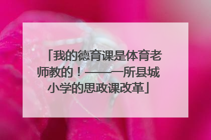 我的德育课是体育老师教的！——一所县城小学的思政课改革